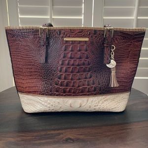 Brahmin Medium Asher